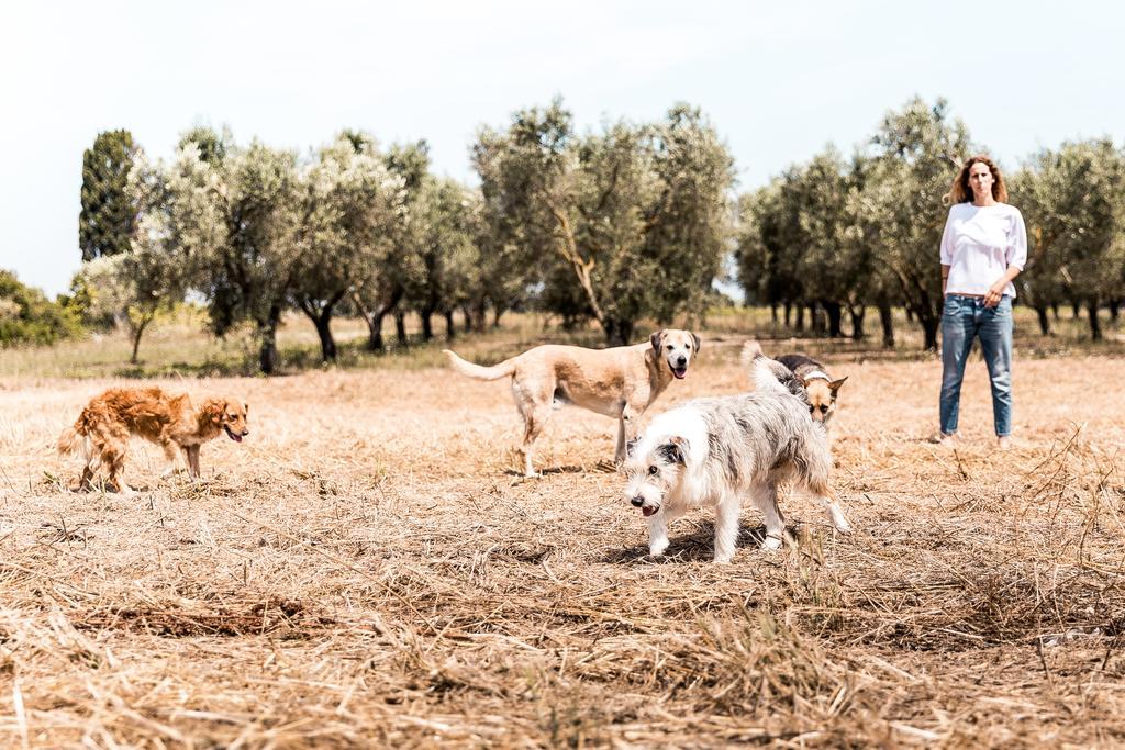 Masseria Prosperi 알리미니 외부 사진