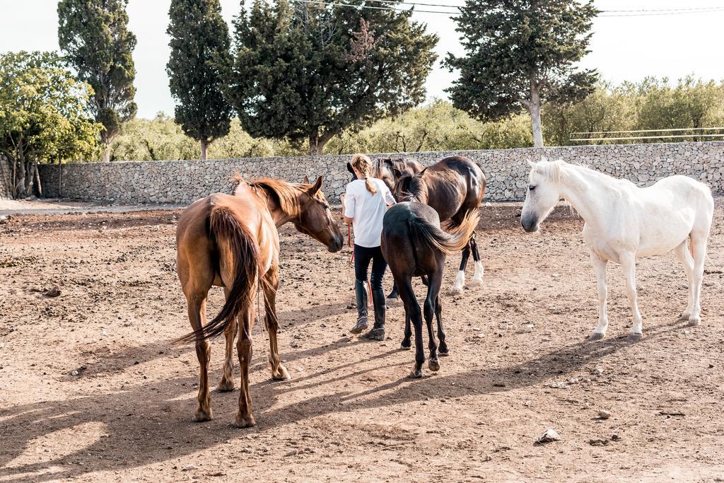 Masseria Prosperi 알리미니 외부 사진